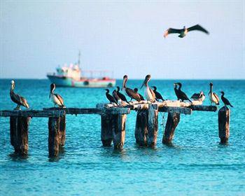 Wayak Holbox Hotell Eksteriør bilde